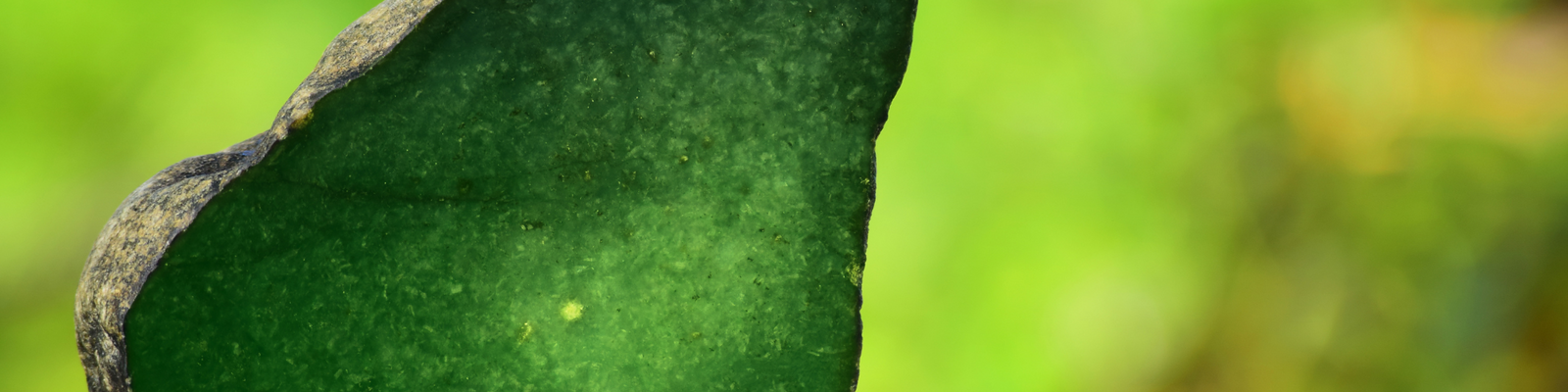 For Wealth & Prosperity