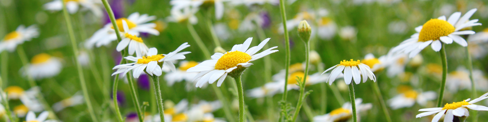 For Change & New Beginnings