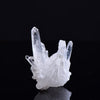 Universal Amplifier Natural Clear Quartz Cluster