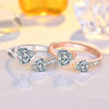 Titanium Ion Therapy Double Heart Ring