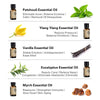 Essential Oils for Diffuser - 12 Kinds Of Fragrance
