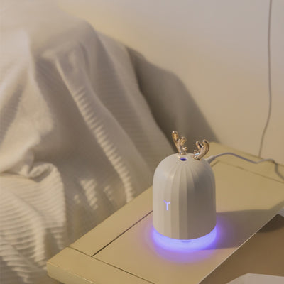 Df 40 Ultrasonic Essential Oil Diffuser Fogger with LED Night Lamp