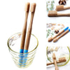 Biodegradable Bamboo Toothbrush