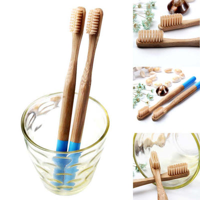 Biodegradable Bamboo Toothbrush