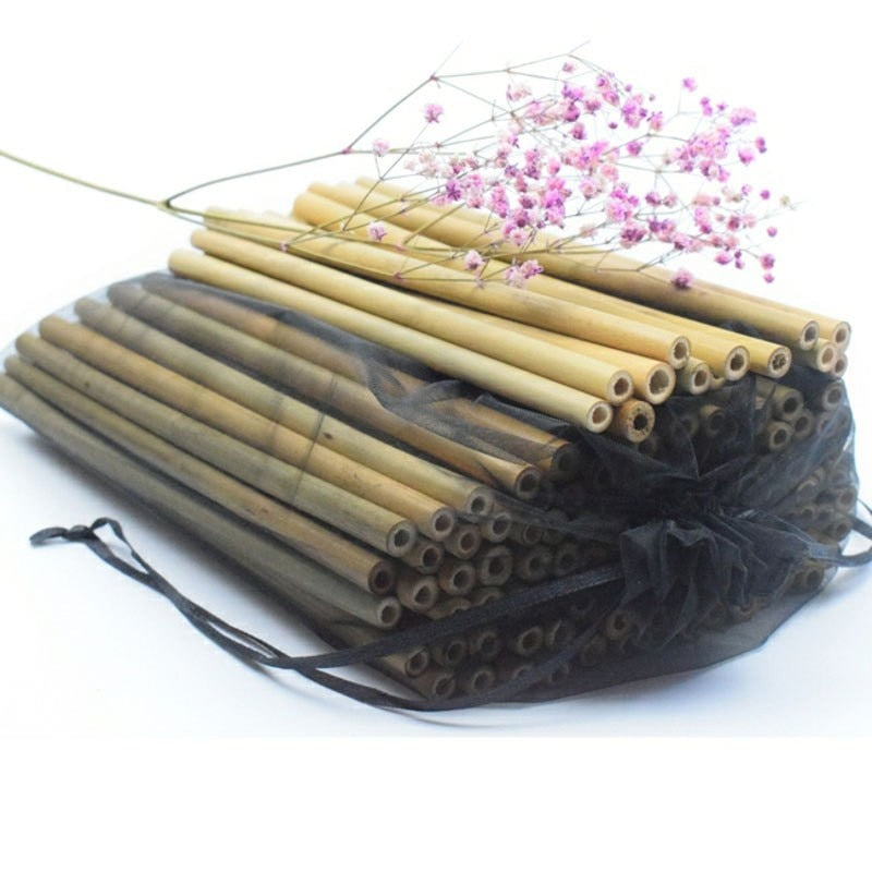 Bamboo Drinking Straws - Reusable Organic Straws (Singular) – JAAC