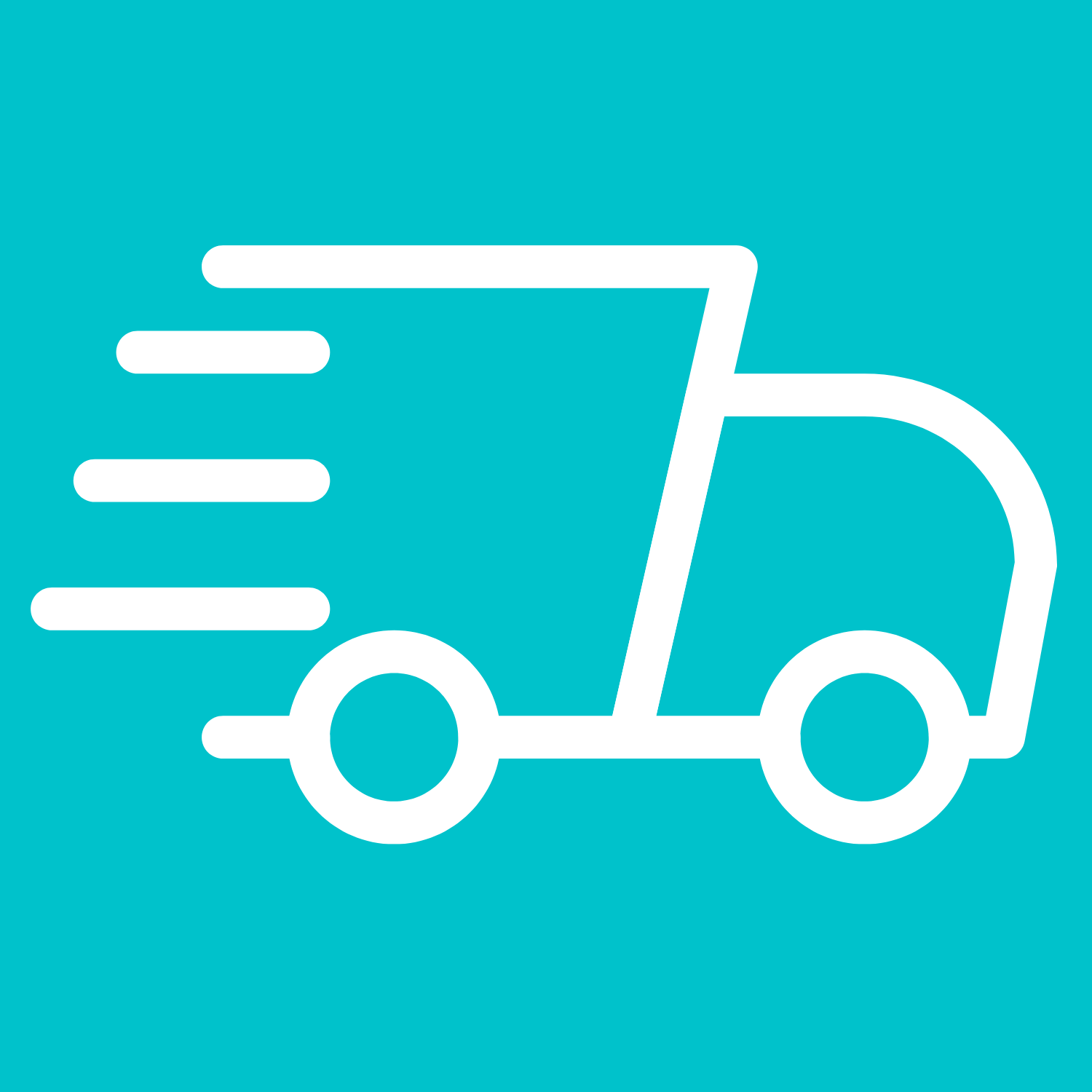 Expedite US Shipping (2-3 Day Delivery)